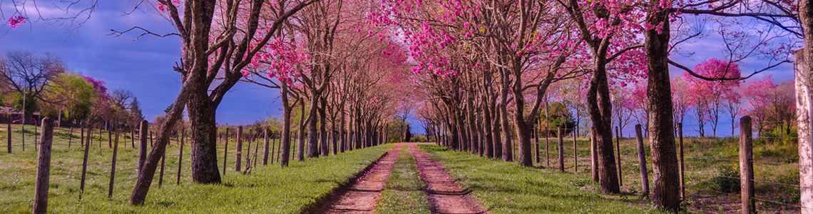 NATURALEZA
